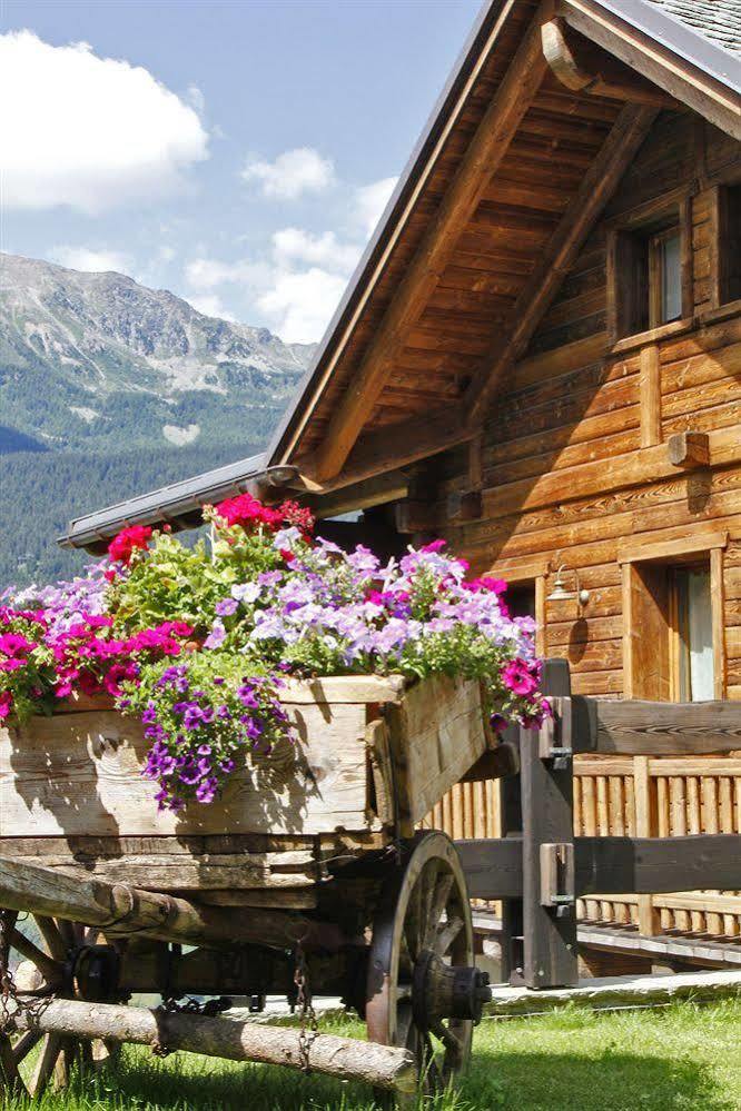 Chalet Teo E Marianna Bormio Eksteriør bilde