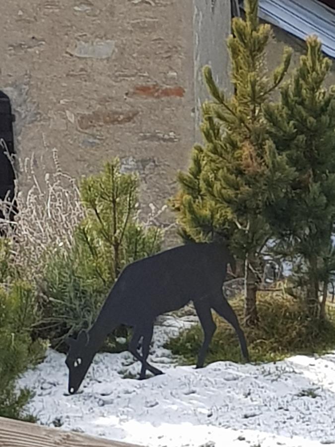 Chalet Teo E Marianna Bormio Eksteriør bilde